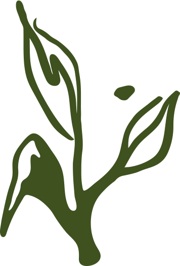Alt image